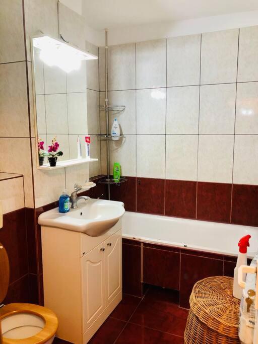 Joy City Stay Ferkel 7 Timişoara Exterior foto